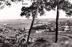 Arzew 305